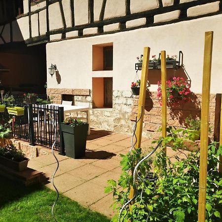 Le Gite De Coco Riquewihr Exterior foto